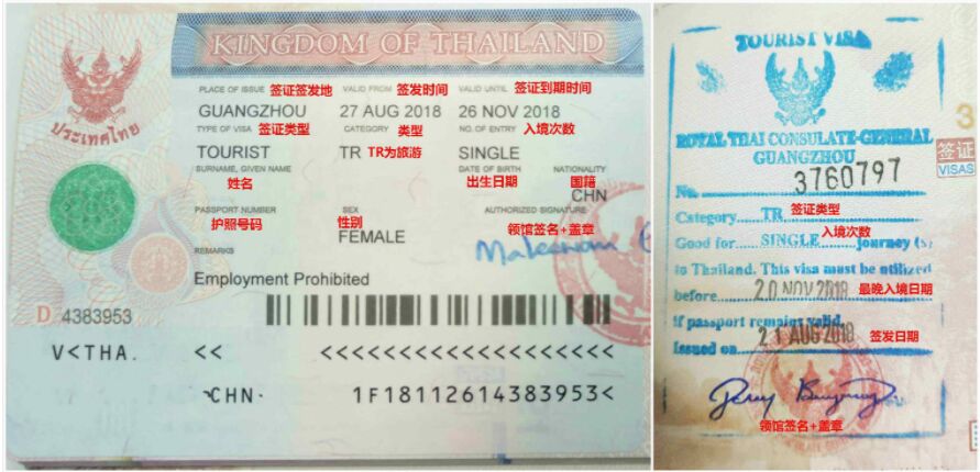 最新！申请泰国旅游签证（单次）步骤，快来了解一下！