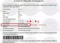 新加坡签证最新政策-哪些类型的人群可以去新加坡？