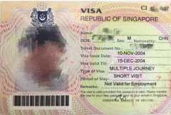 单身女性来新加坡如何办理旅游签证？需要担保人吗？