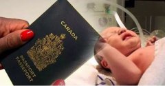 赴加拿大生子后签证被撤销，这是为啥？