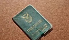 签证豁免期即将失效 25万津巴布韦籍人要求获得南非绿卡和身份证