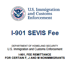 表i-901-SEVIS付款收据