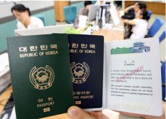 韩国投资签证（D-8签证）与贸易经营（D-9签证）的优缺点比较